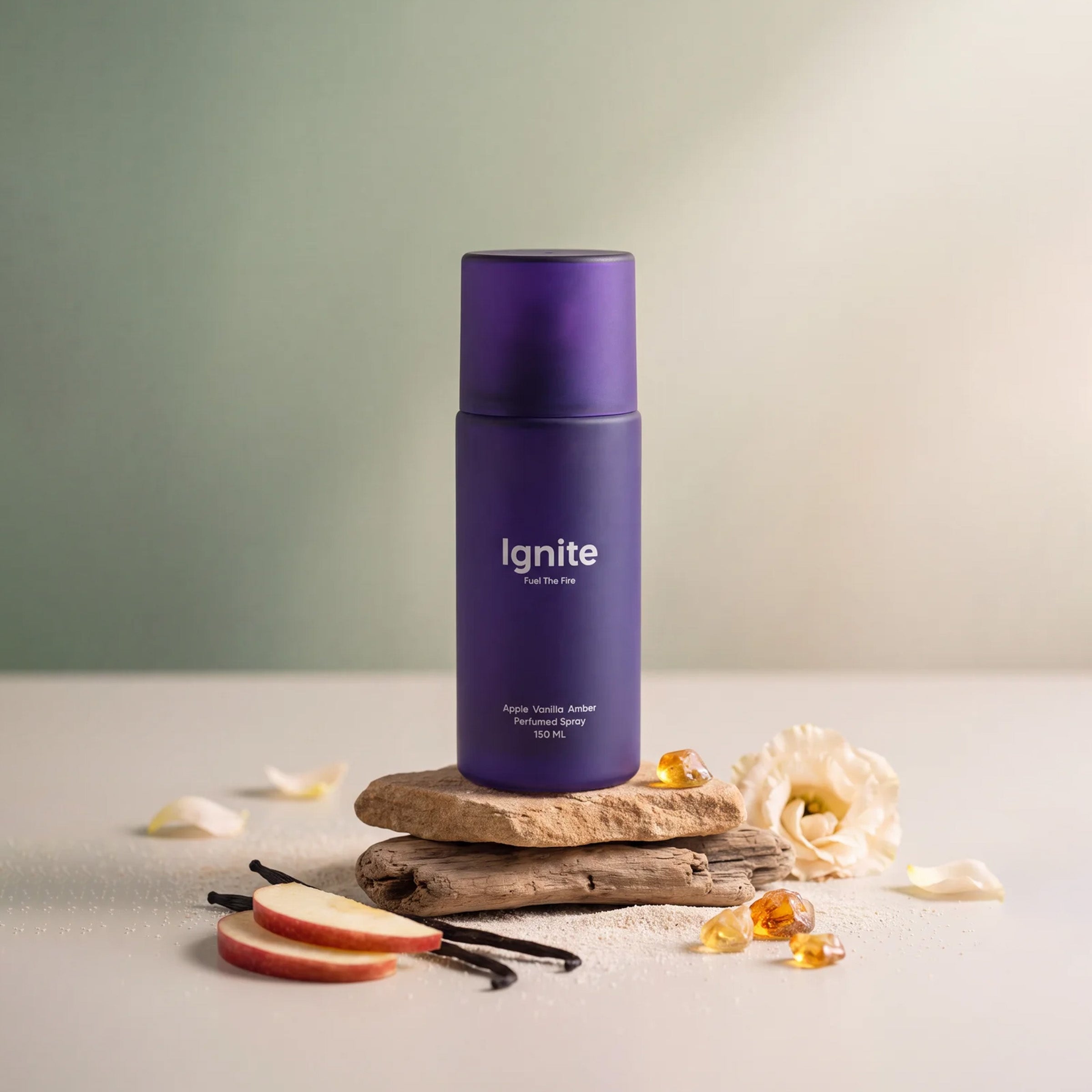 IGNITE — momentum